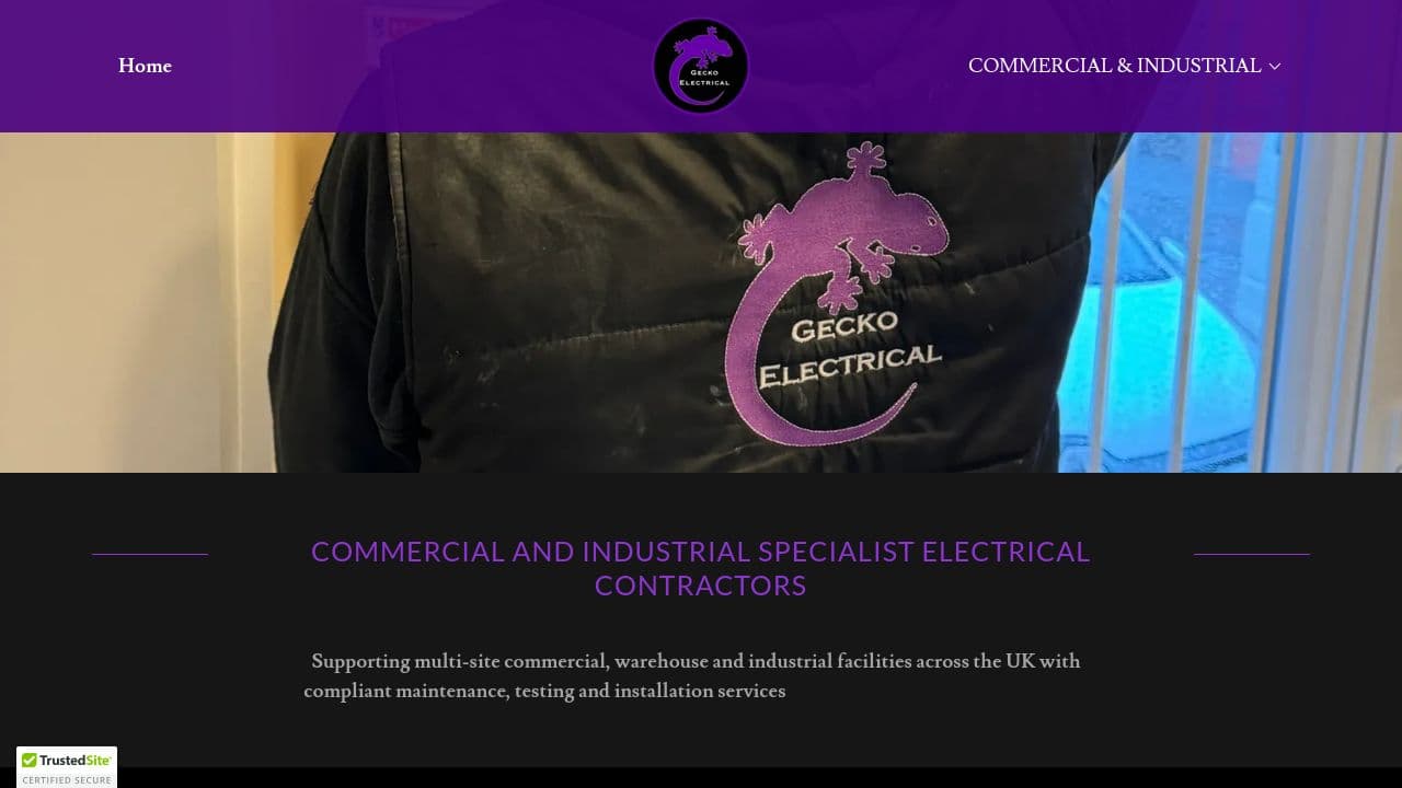 GECKO ELECTRICAL SERVICES LTD website screenshot