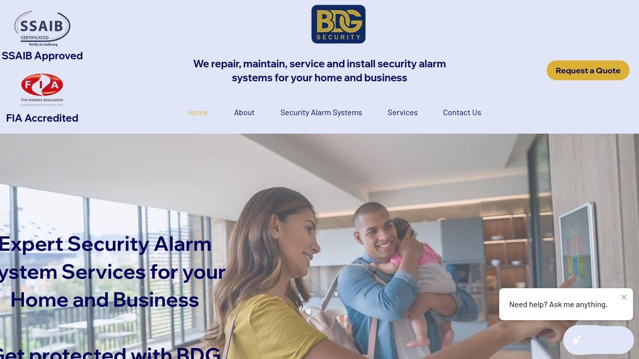 BLG SECURITY LTD website screenshot