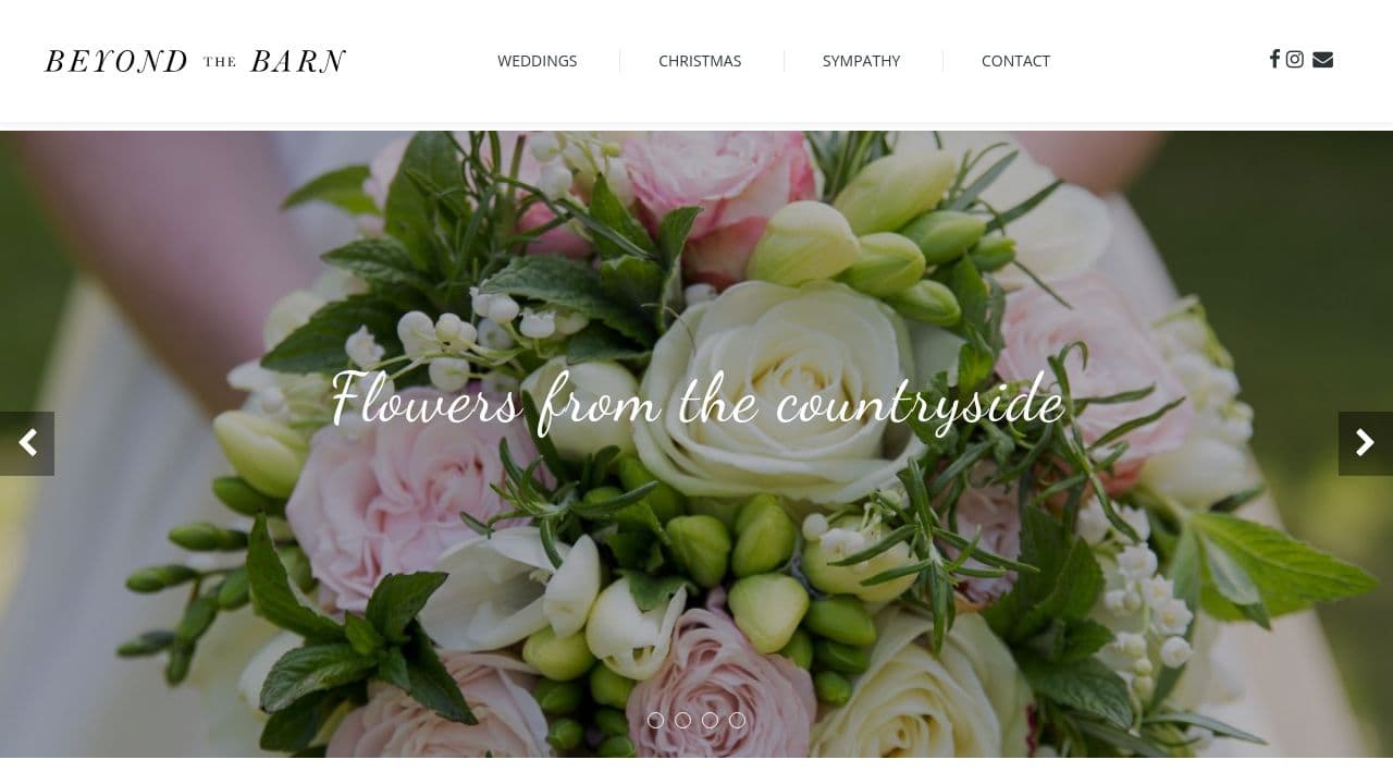 BEYOND THE BARN LTD website screenshot