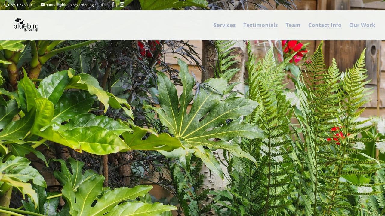 BLUEBIRD GARDENING LIMITED website screenshot