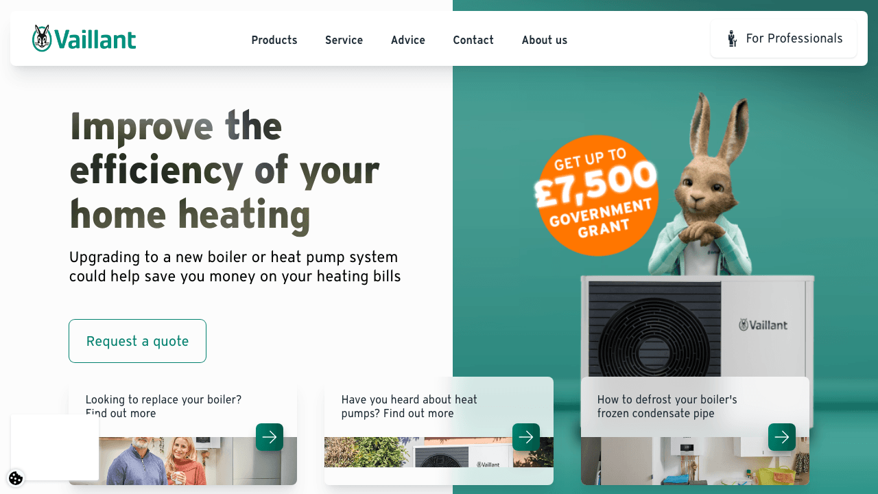 Vaillant Group UK Ltd — Eco & Sustainable in Belper