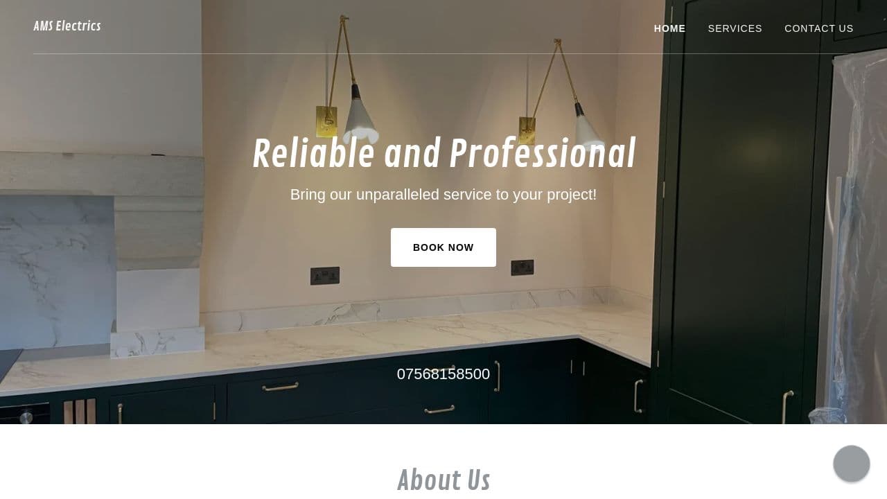 AMS ELECTRICS LIMITED website screenshot