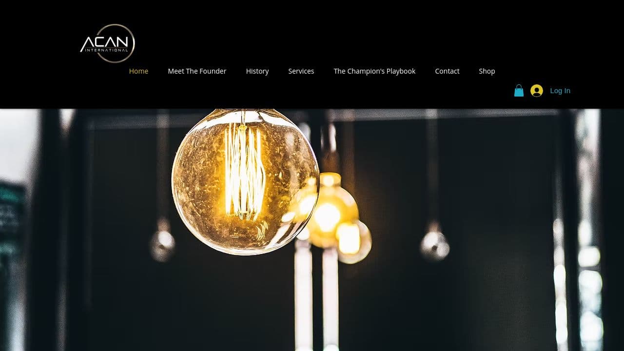ACANINTERNATIONAL LTD website screenshot