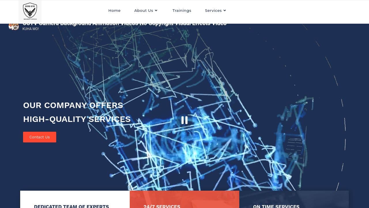 BIRD EYE SECURITY FORCES LTD website screenshot