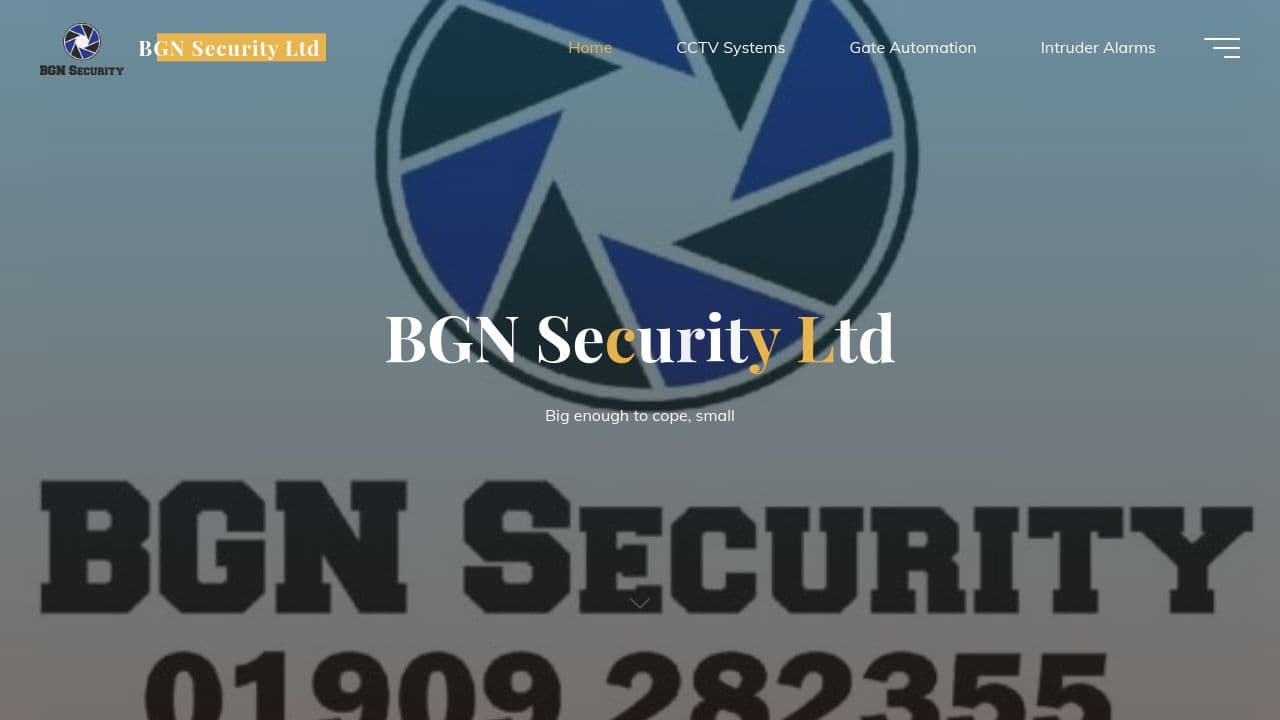 BGN SECURITY LTD website screenshot