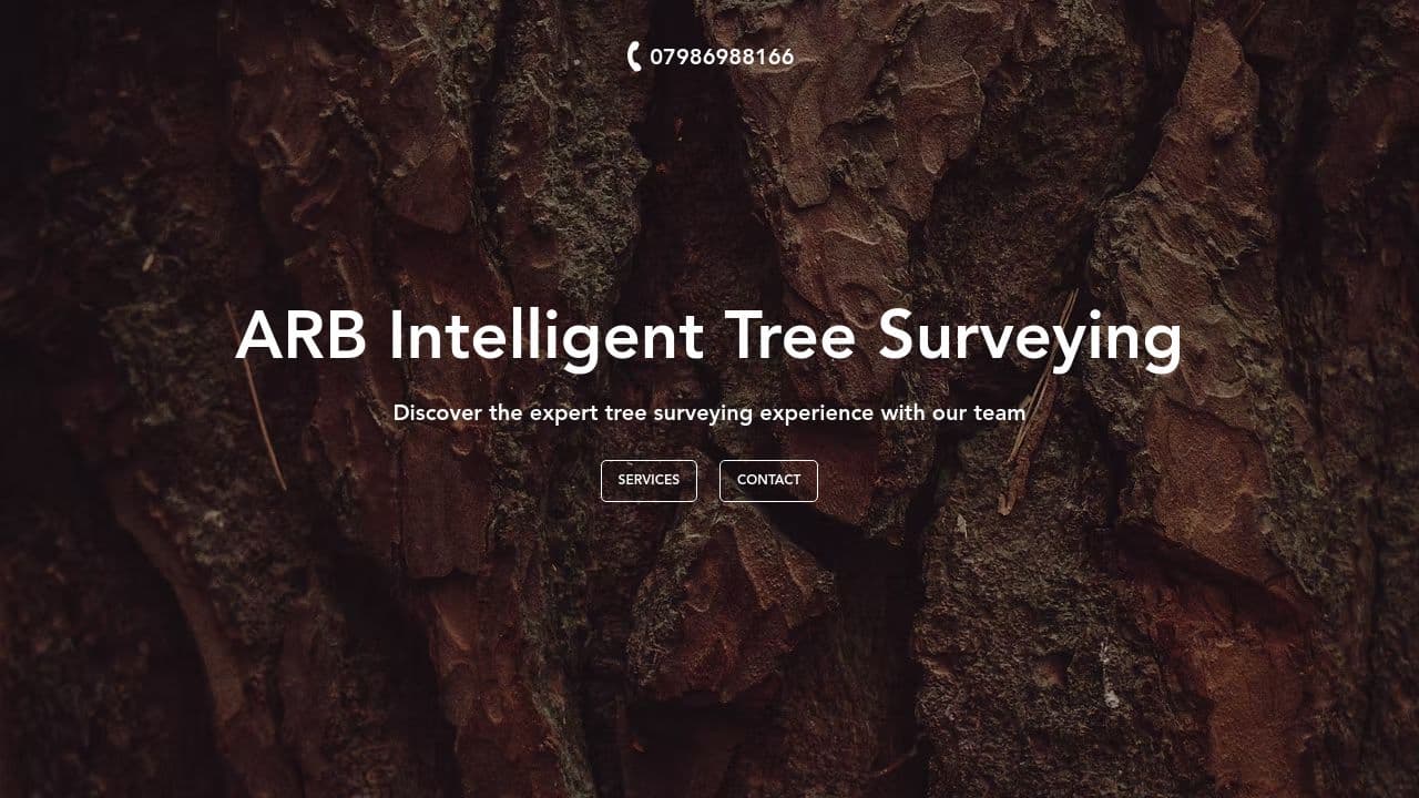 ARB INTELLIGENT TREE SURVEYING LTD website screenshot