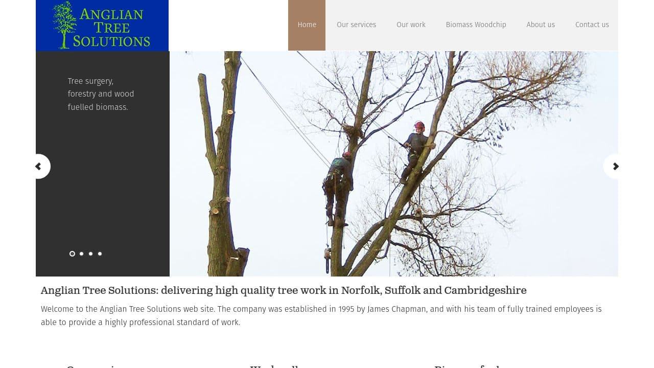 ANGLIAN TREE SOLUTIONS LIMITED website screenshot
