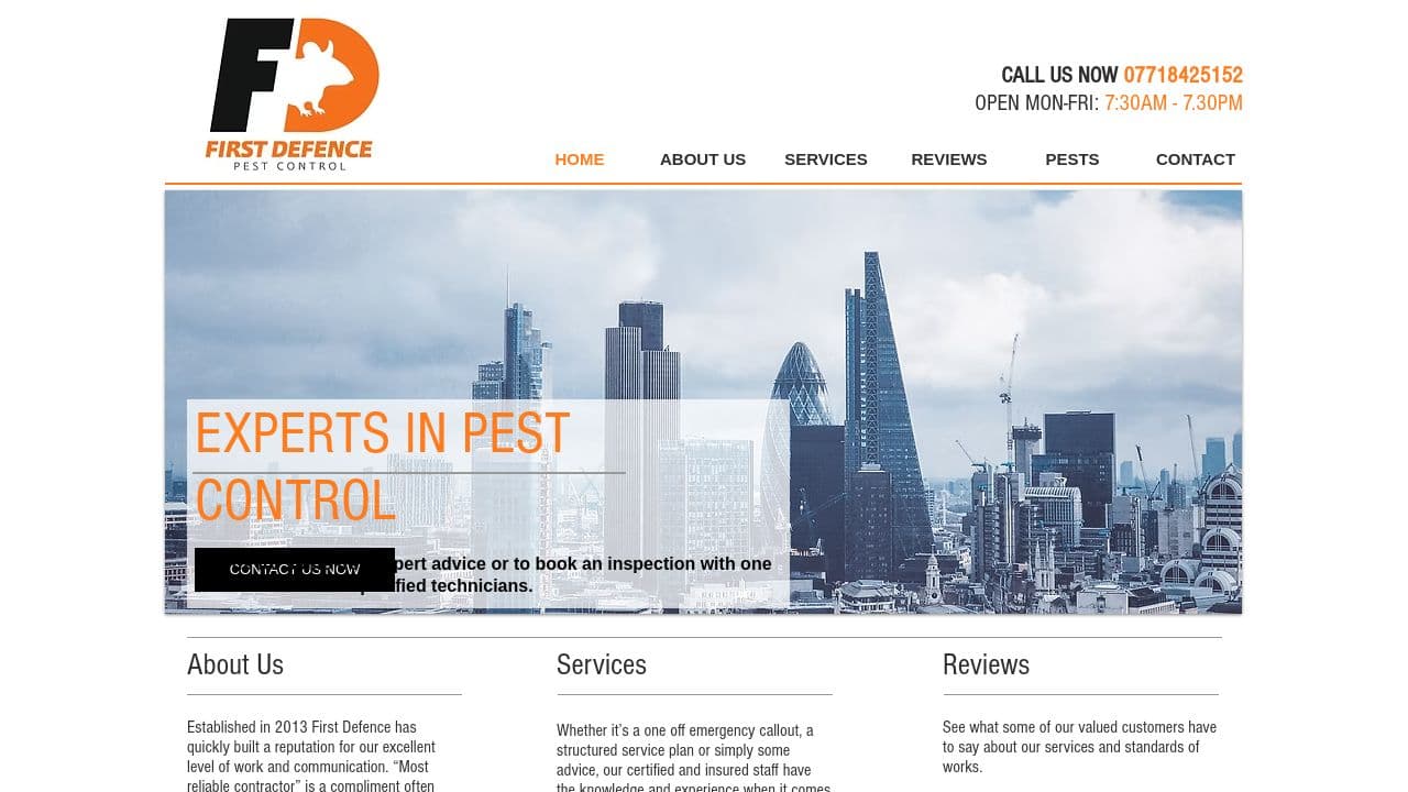 1ST DEFENCE LTD website screenshot